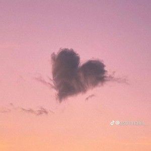 Meet your Posher, Ella